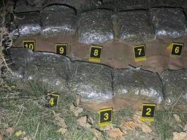 U Bijelom Polju pronađena torba sa deset kilograma marihuane