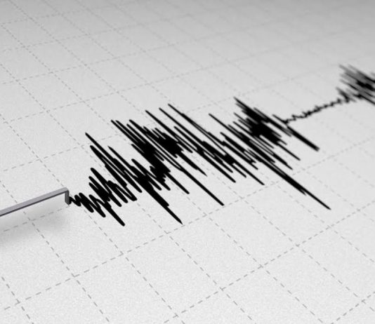 Turska: Jak zemljotres pogodio Egejsku regiju