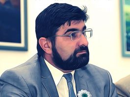 Bošnjaci Sandžaka između srpske i Suljove himne