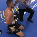 Sjeničak poražen u Londonu u borbi za svjetsku titulu