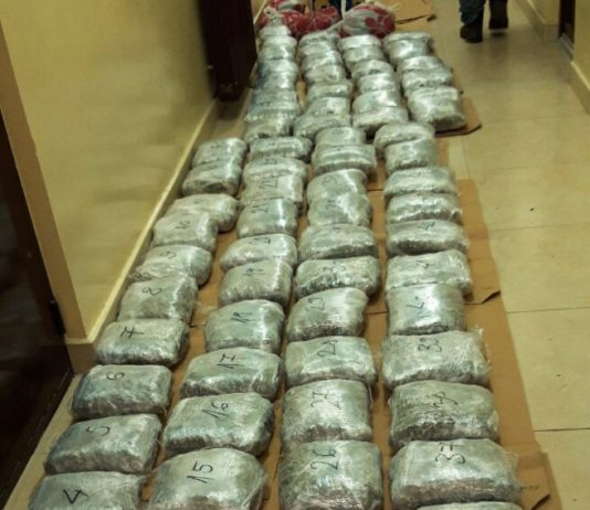 Brodarevac “pao” sa 90 kilograma marihuane