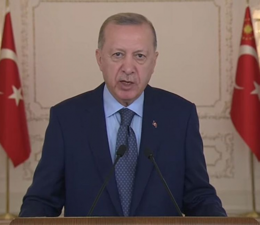 Erdogan naredio protjerivanje ambasadora 10 zemalja