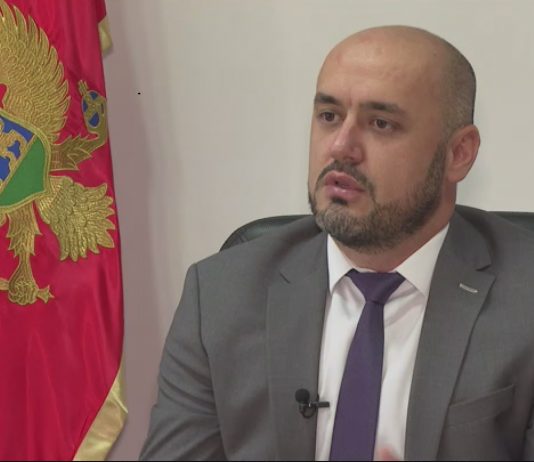 Hadžić za RTCG: Trebamo pružiti dijaspori osjećaj domovine