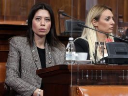 Vujović: Srbija posvećena čišćenju Lima i Drine