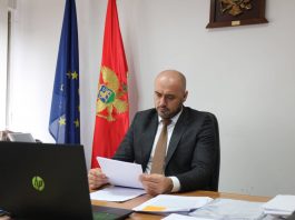 Hadžić: Ukidanje sredstava za saradnju sa dijasporom još jedna ishitrena odluka