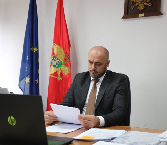 Hadžić: Ukidanje sredstava za saradnju sa dijasporom još jedna ishitrena odluka