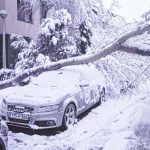 Snijeg uzrokovao probleme građanima, na Dobrinji stablo se srušilo na vozilo