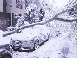 Snijeg uzrokovao probleme građanima, na Dobrinji stablo se srušilo na vozilo
