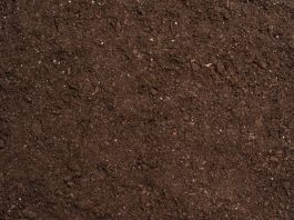 Onog dana kad nas ne bude