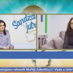 Doc. dr Kimeta Hamidović, UNINP: Za zvanične institucije lektor je neophodan