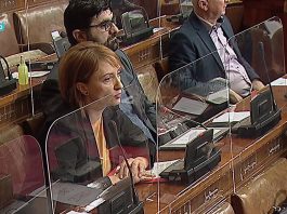 Dr. Lukač-Zoranić: Period obavljanja funkcije vršioca dužnosti direktora ne može biti duži od jedne godine