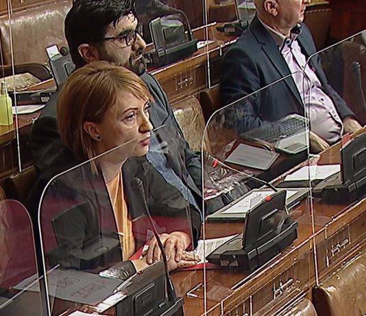 Dr. Lukač-Zoranić: Period obavljanja funkcije vršioca dužnosti direktora ne može biti duži od jedne godine