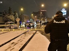 Detalji ubistva u Sarajevu: Na Ramića pucano iz vozila u pokretu, traga se za još jednom osobom