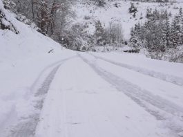 NEČASNO – Opština Tutin nije očistila put do mezara rahmetli Muftije