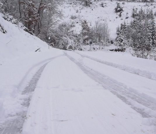 NEČASNO – Opština Tutin nije očistila put do mezara rahmetli Muftije
