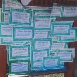 U novembru preminulo 37 kovid pacijenata, 391 od početka godine