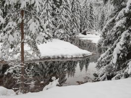 U Sandžaku zabilježena rekordno niska temperatura, minus 33,2 stepena Celzijusa