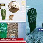 Engleski, arapski i turski mediji o mačku koji ne napušta mezar rahmetli Muftije Zukorlića