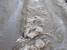 Zaleđene ulice, problem građana i komunalaca