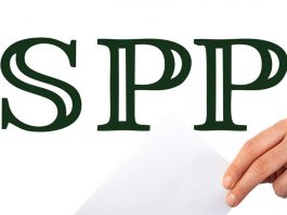 SPP: Referendum je put približavanja Srbije Evropskoj uniji