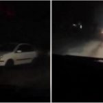 Nesvakidašnji prizor iz Priboja! Dva prijatelja kamerom zabeležila ogromnu životinju! (VIDEO)