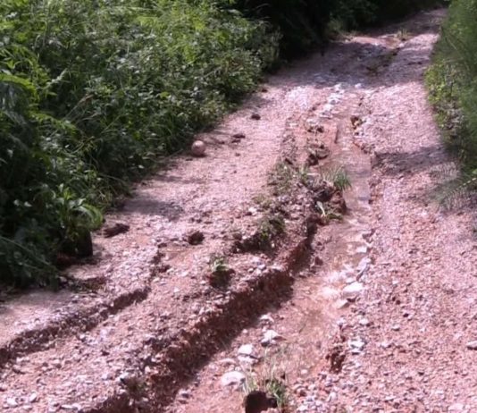 Podnijeta inicijativa za izgradnju puta do sela Kruševo