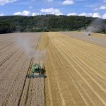 Cijene pšenice i drugih žitarica na tržištu dosegle rekord, nova poskupljenja neizbježna