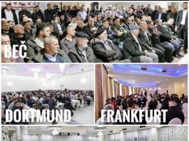 Dijaspora riječima i djelima poručuje: Naš LIDER je Usame Zukorlić