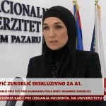 ELMA POTVRDILA – Moja funkcija na Univerzitetu je u statusu mirovanja