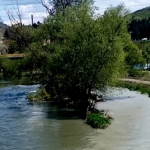 Pola zelen, pola bijel: Ibar na ušću sa Raškom danas ličio na ruglo, uprljala ga materija koju je donijela pritoka iz pravca Novog Pazara (video)