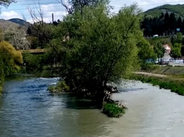 Pola zelen, pola bijel: Ibar na ušću sa Raškom danas ličio na ruglo, uprljala ga materija koju je donijela pritoka iz pravca Novog Pazara (video)