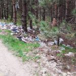 Milanović: U Novom Pazaru postoji oko 30 divljih deponija