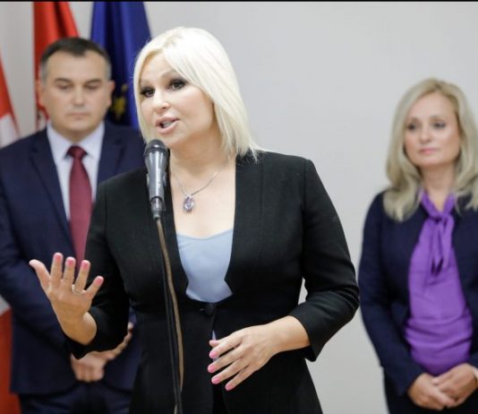 Mihajlović: Uskoro stabilizacija tržišta ogrjeva, vojska će pomoći u krčenju