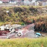 Novi Pazar: Otkrivene dvije nelegalne klanice koje su ispuštali krv u rijeke