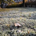 U Sjenici jutros minus tri stepena