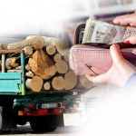 Jagma za ogrjevom – cijena drva udvostručena, a peleta gotovo da nema