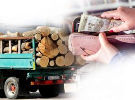 Jagma za ogrjevom – cijena drva udvostručena, a peleta gotovo da nema