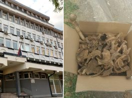 Tužilaštvo krije rezultate analize posmrtnih ostataka pronađenih na Hadžetu