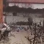 Narod u Novom Pazaru prepušten sam sebi – Čovjek se sam bori sa nabujalom rijekom (Video)