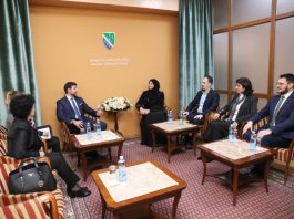 Predsjednica BNV dr. Pramenković sastala se sa ministrom Edinom Đerlekom