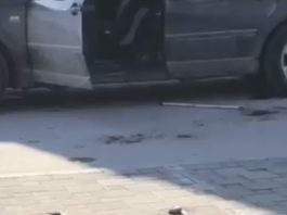 Tuča dvojice Novopazaraca, krv na ulici (VIDEO)