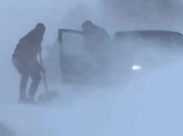 Haos na Goliji! Desetine automobila zavejano u sniježnim smetovima (VIDEO)