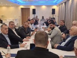 Konstituisan Inicijativni odbor Dijaspore SPP