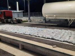 Kod Prijepolja otkriveno preko pola tone marihuane (VIDEO)