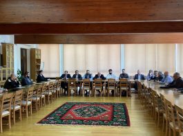 Formiran Matični odbor ,,Matice bošnjačke”