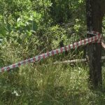 PAŽNJA! Eksplozije na trasi gasovoda kod Sjenice i Tutina: Čiste se eksplozivni ostaci