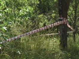PAŽNJA! Eksplozije na trasi gasovoda kod Sjenice i Tutina: Čiste se eksplozivni ostaci
