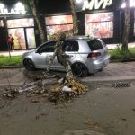 Novi Pazar: Palo drvo na automobil