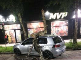 Novi Pazar: Palo drvo na automobil