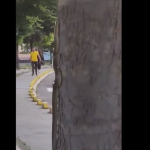 Zmija uočena u samom centru Novog Pazara (Video)